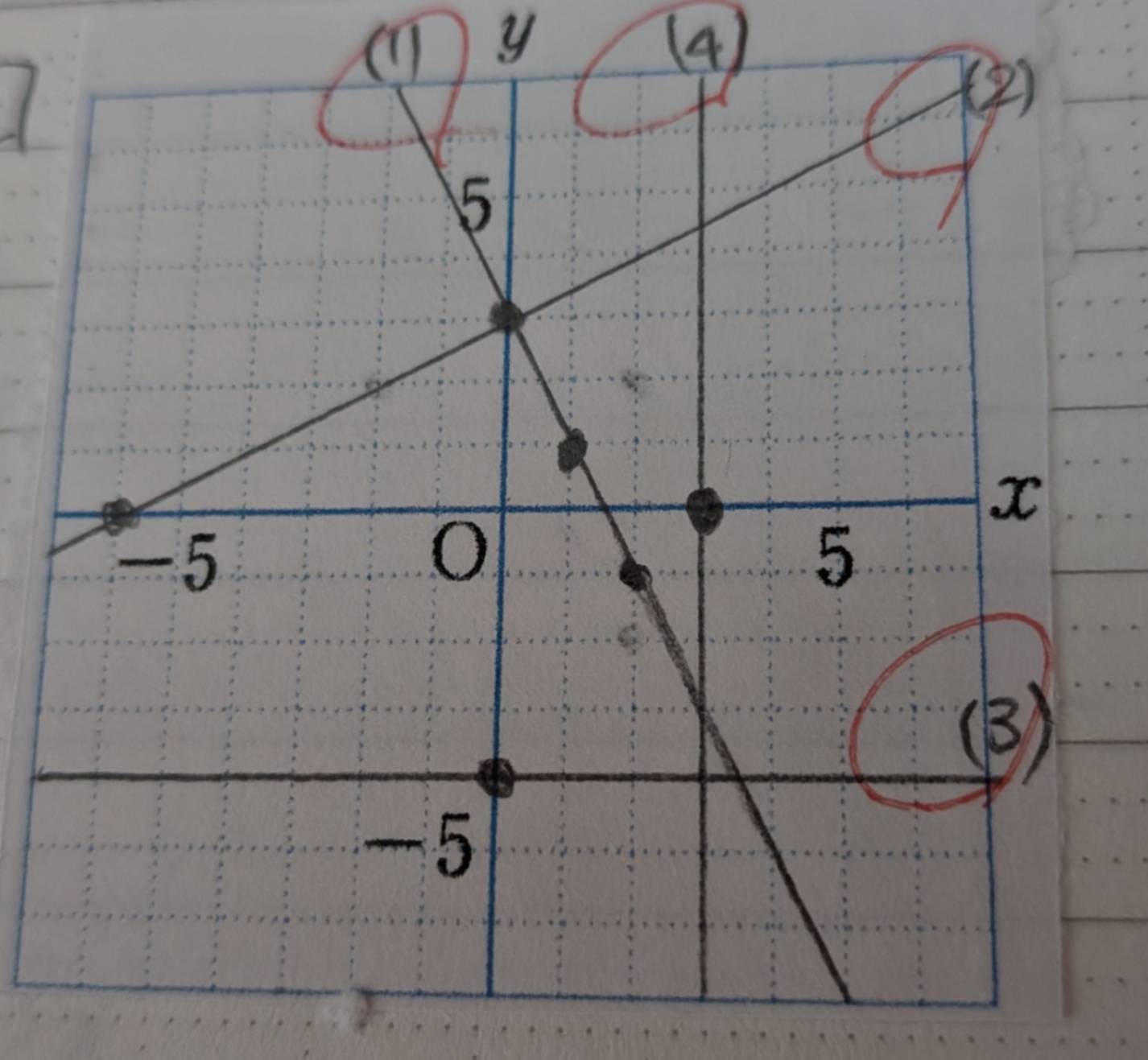1000000804.jpg