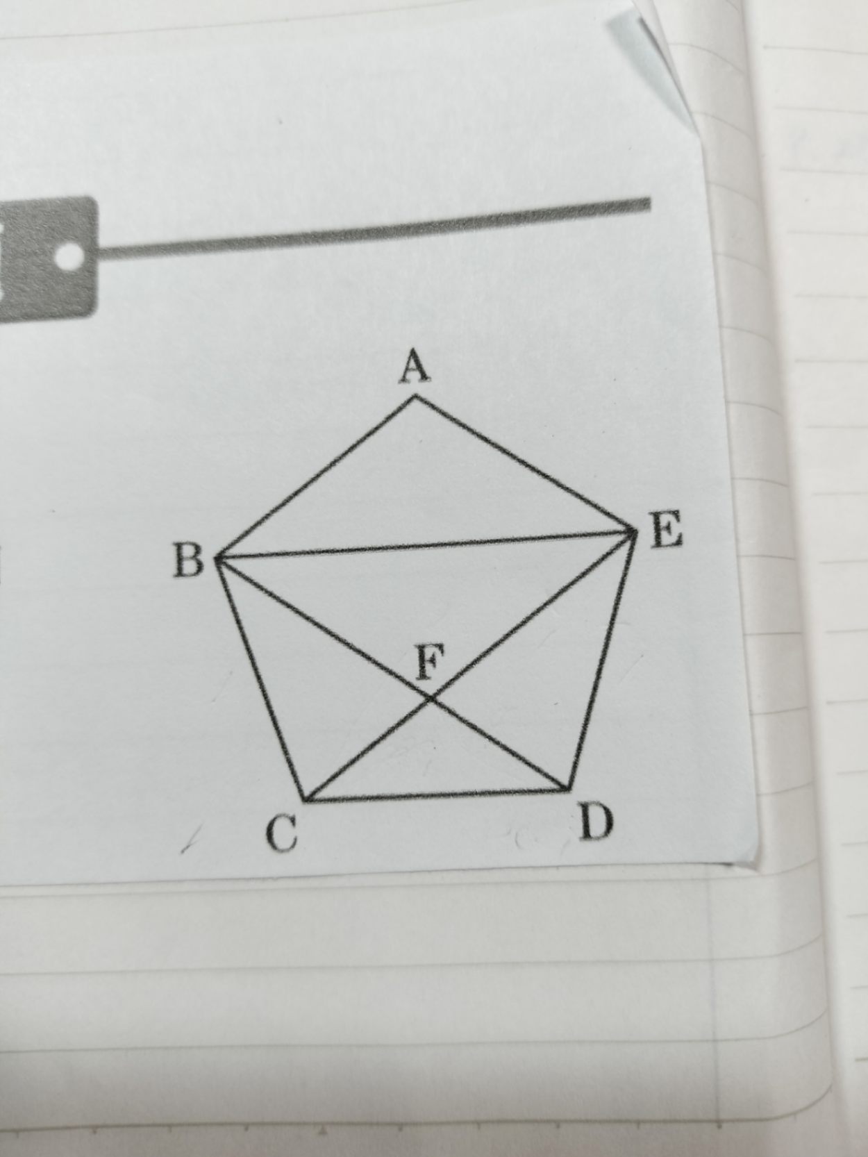 17529235088655216955513992716901.jpg