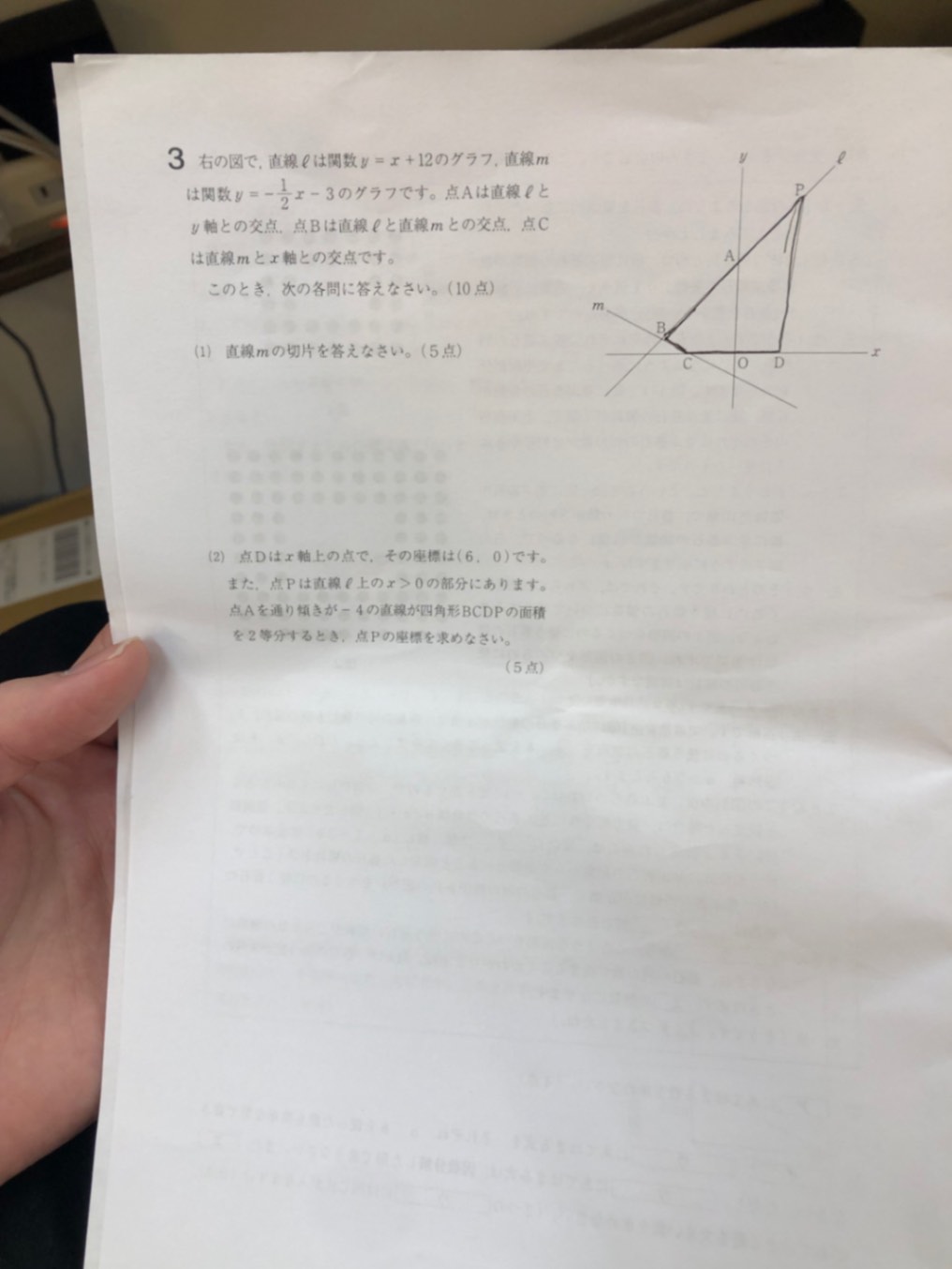 IMG_2663.jpeg